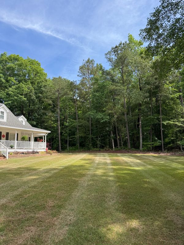 Lawn Maintenance