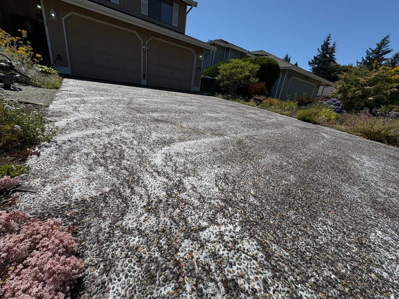 Pressure Washing
