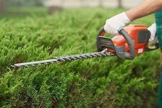 Tree Work