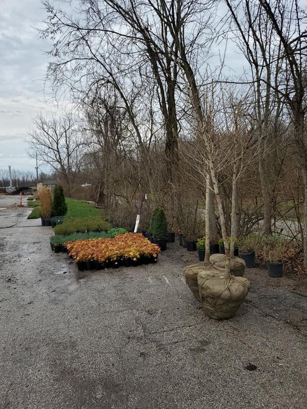 landscaping