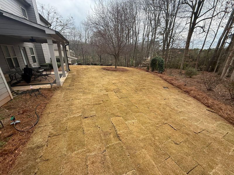 🌱 Sod Installation