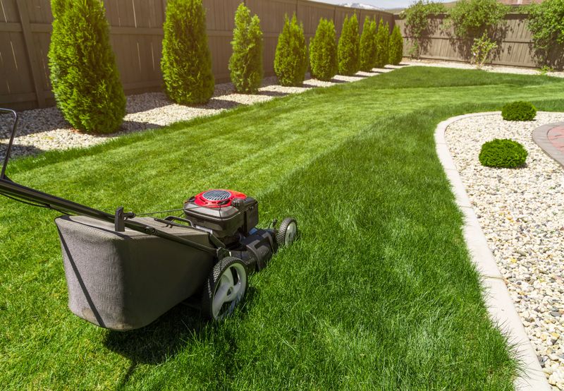 Lawn Maintenance