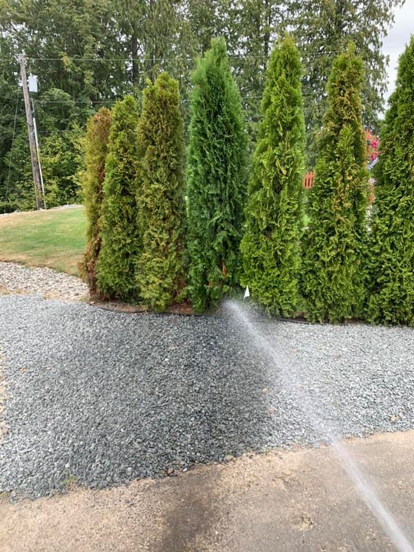 Landscaping