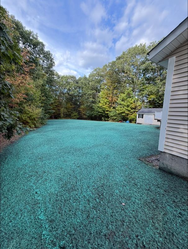 Landscaping