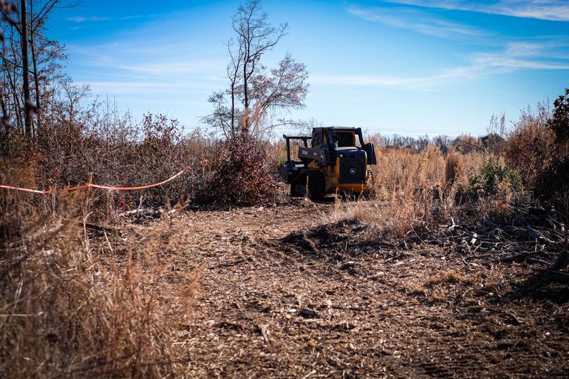 Forestry Mulching