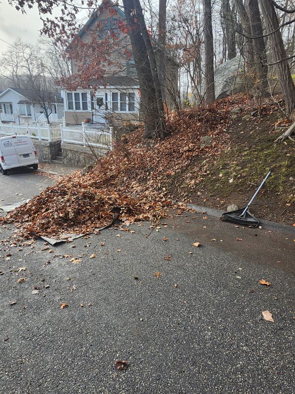 Fall Cleanups