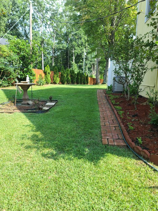 Lawn Maintenance