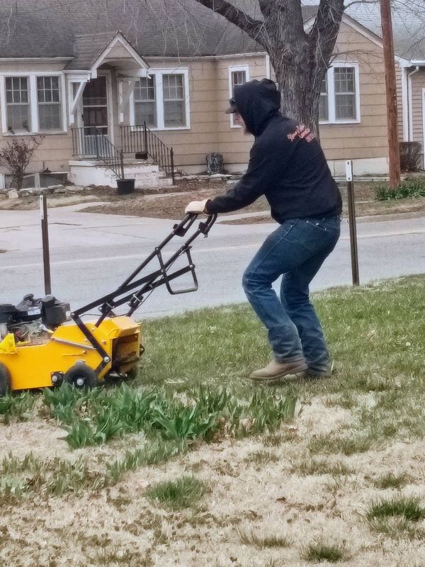 Lawn Maintenance