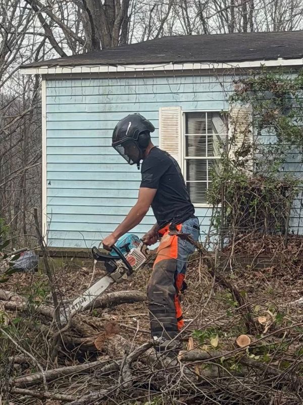 Tree Services