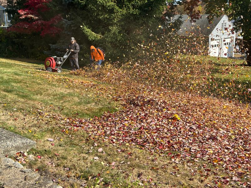 Spring & Fall Clean ups gallery