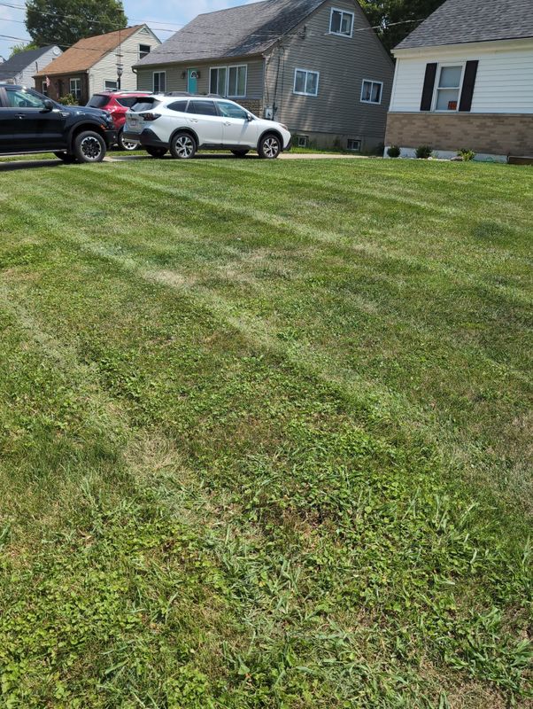 Lawn Maintenance