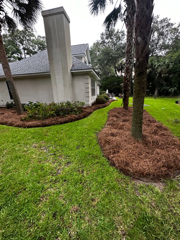 Pine Straw Installation