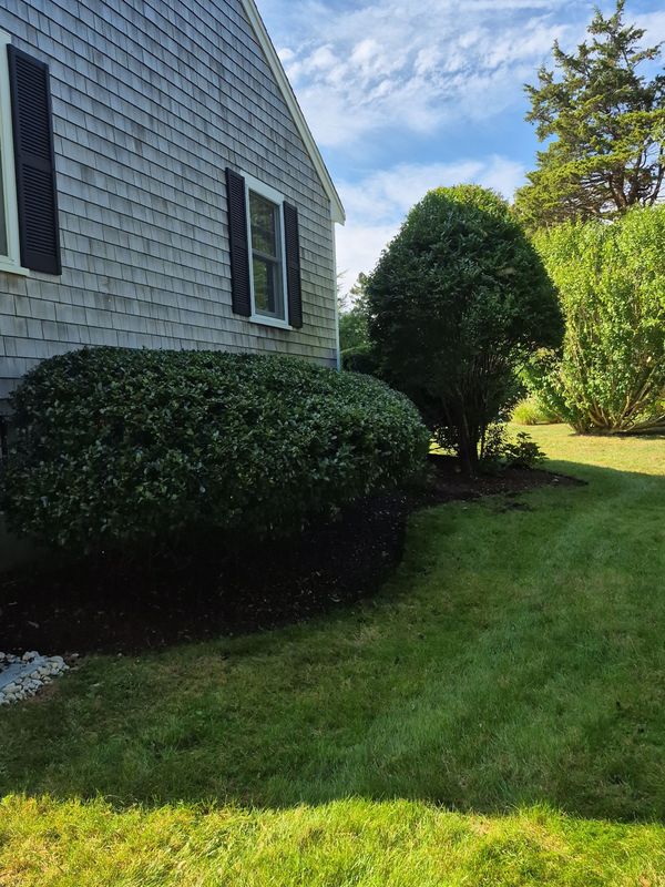 Lawn Maintenance