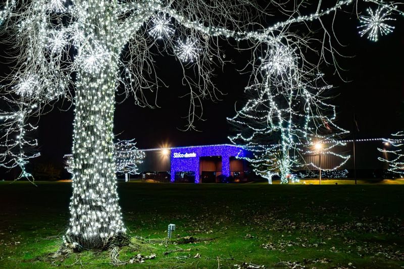 Christmas Light Installation