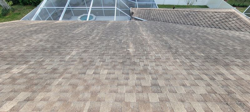 Shingle Roof Cleaning