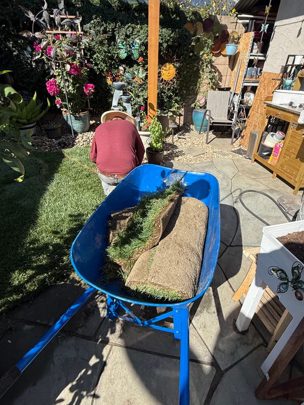 Landscaping