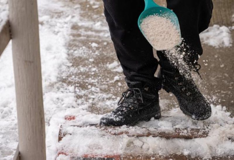 Salt Laying