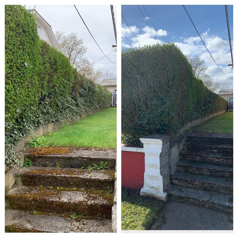 Landscaping