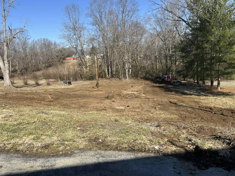Land Clearing