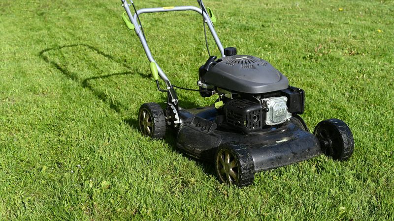 Lawn Maintenance