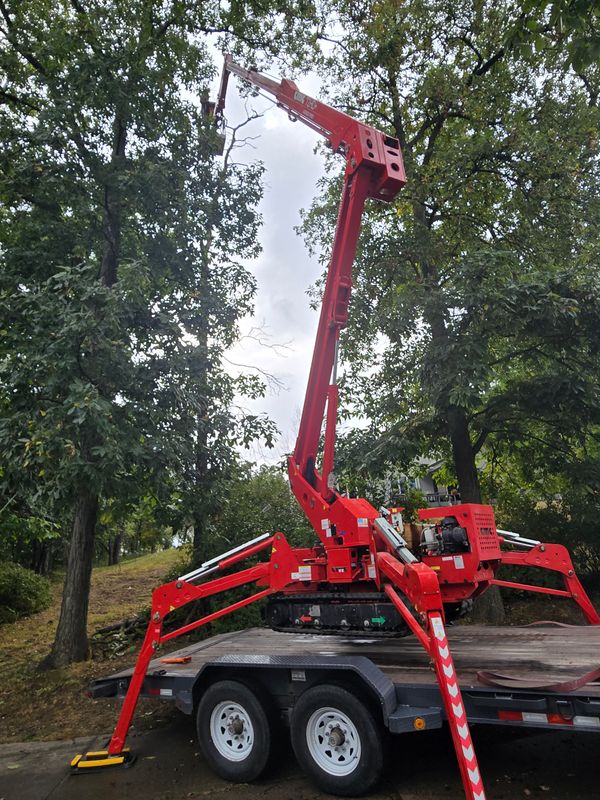 Tree Trimming
