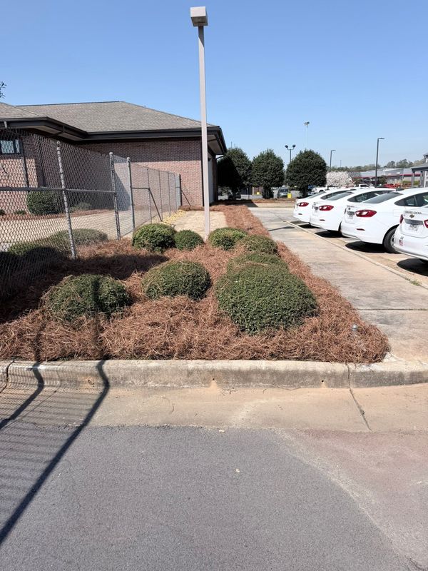 Landscape Design & Installation