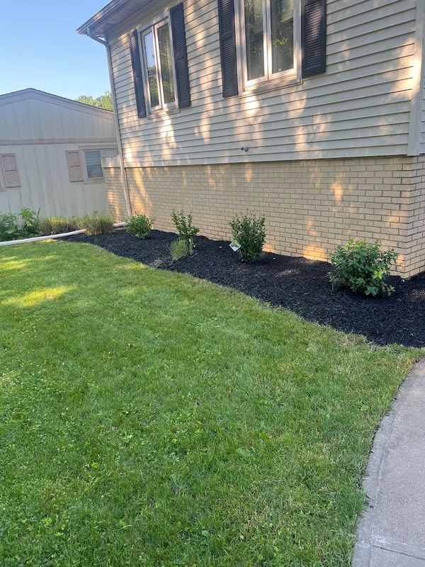 Sod Installation & Lawn Replacement