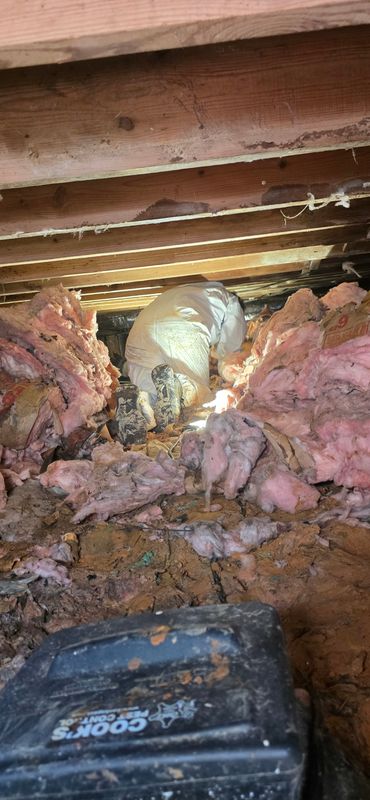 Crawlspace