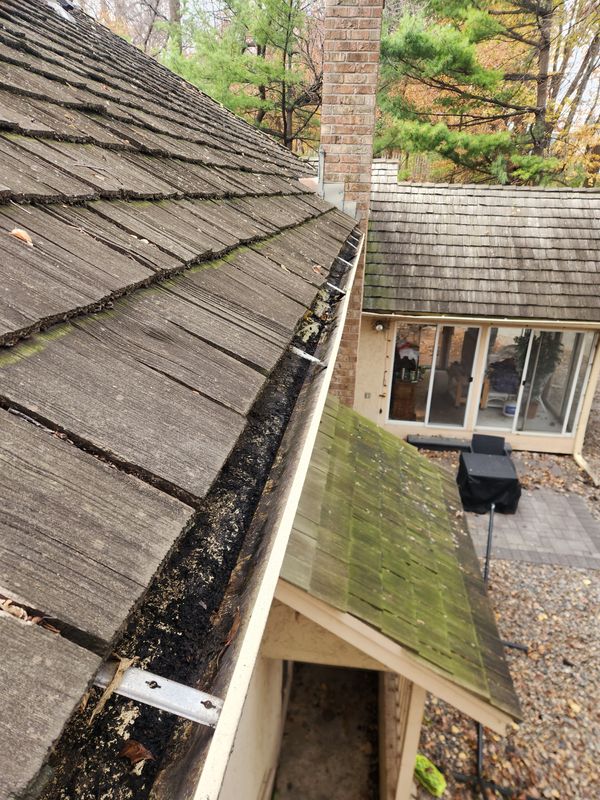 Gutter clean up