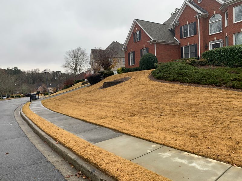 Lawncare