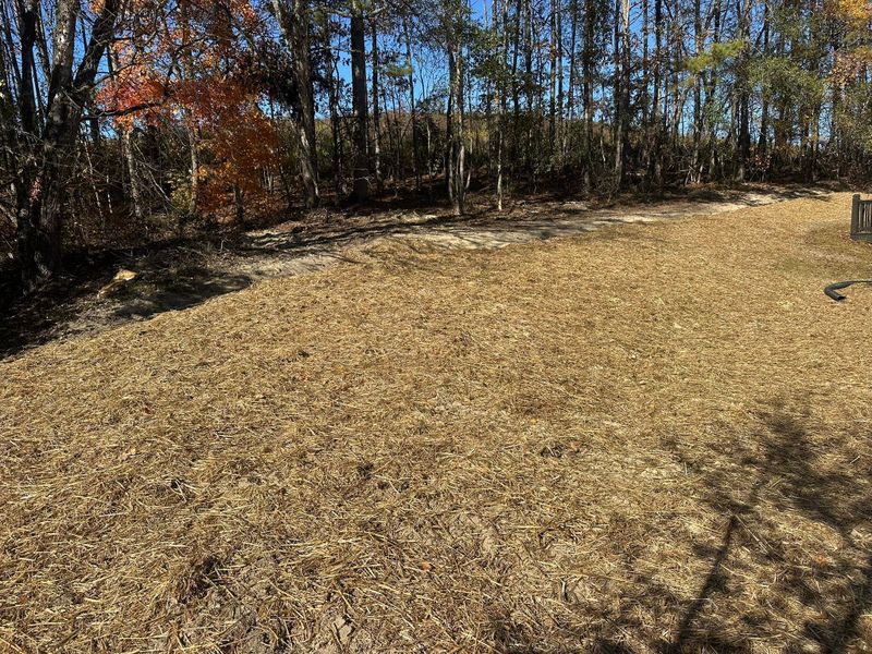 Site Preparation