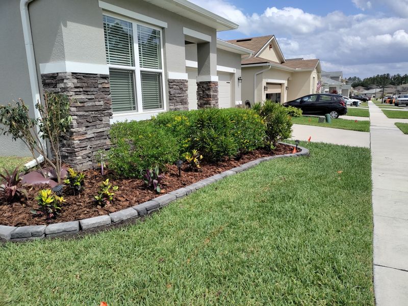 Shrub Trimming