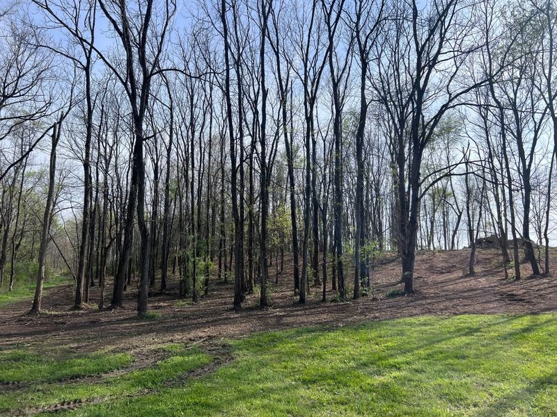 Forestry Mulching