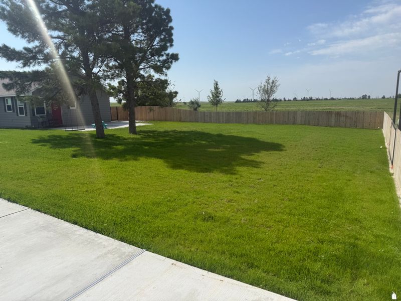 Flower Beds