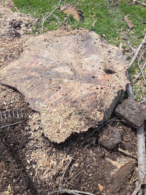 Stump Grinding