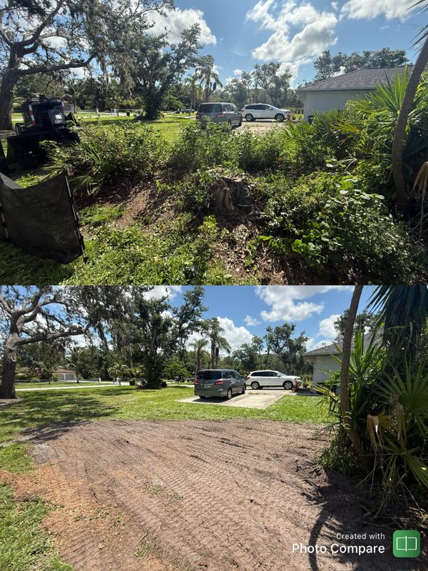 Stump Removal