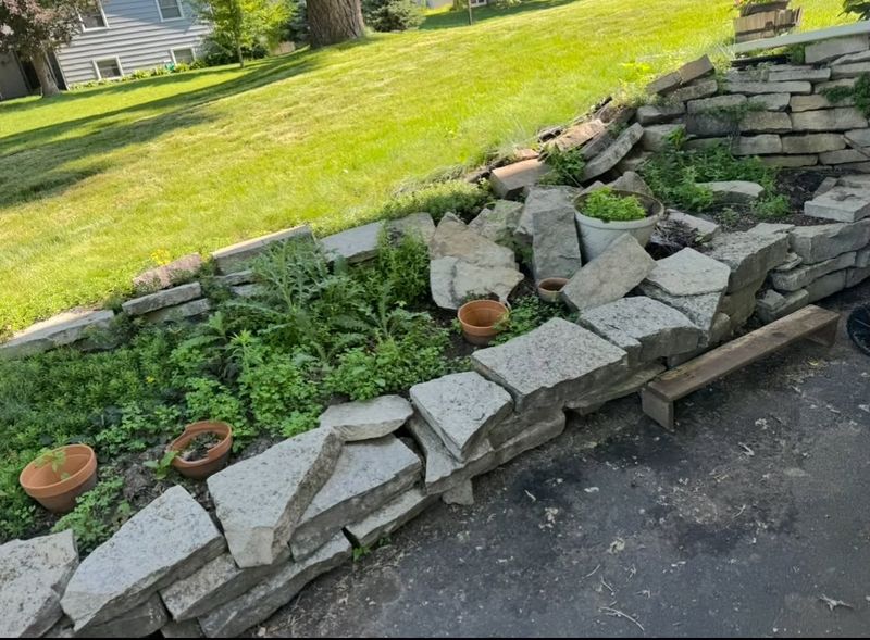 Lawn Seeding