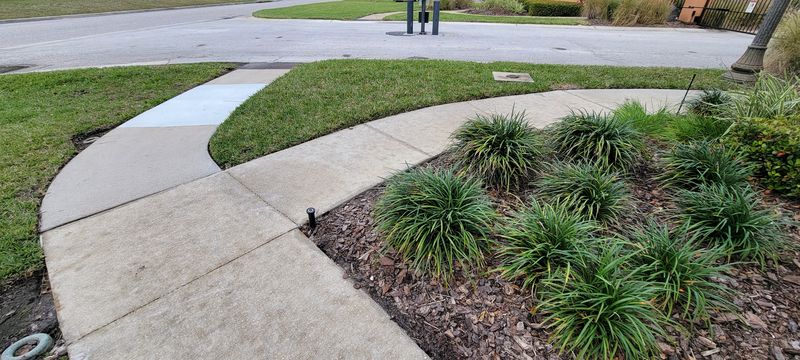 Driveway and Sidewalk Pressure Washing