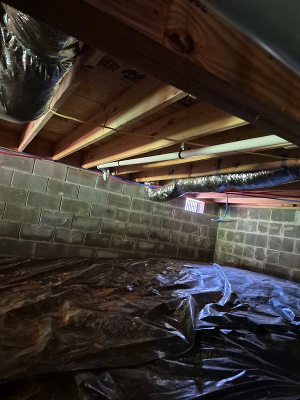 Water line, Sewer line and Drain line Repair and Replacement