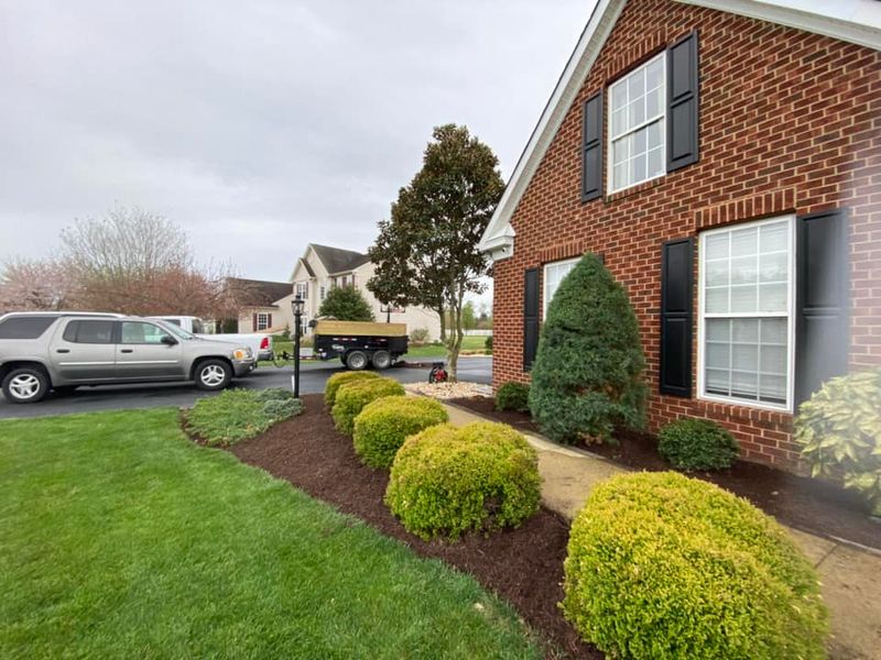 Shrub Trimming