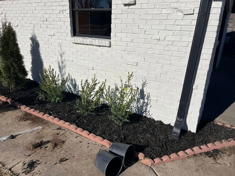 Tree & Shrub Care