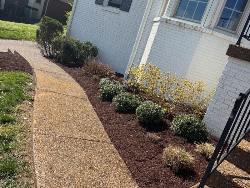 Landscape Design