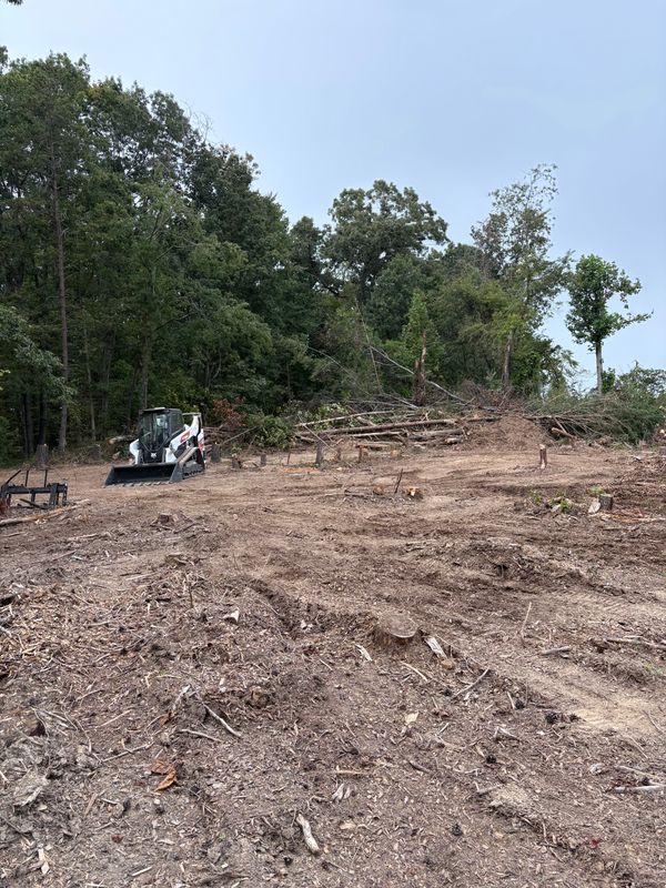 Land Clearing