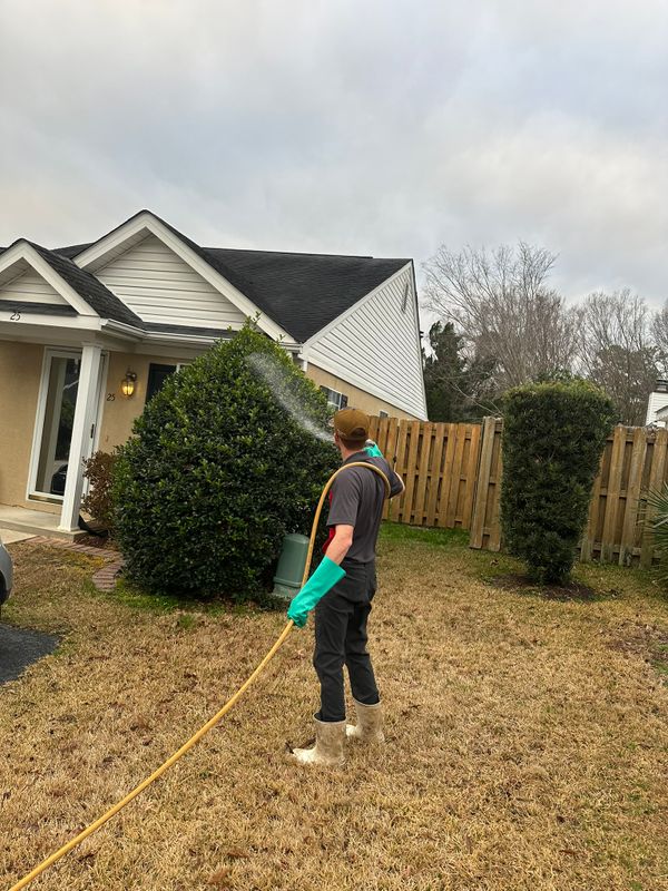 Shrub Care