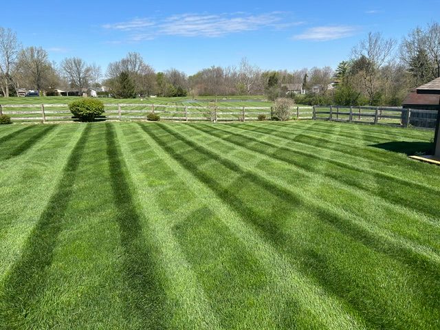 Our Mowing