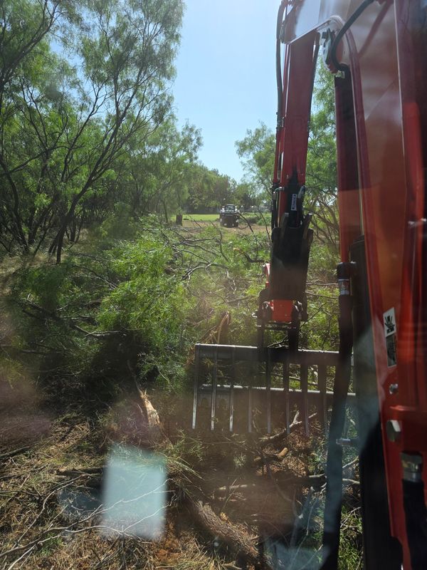 Wichita Falls Land Clearing Job