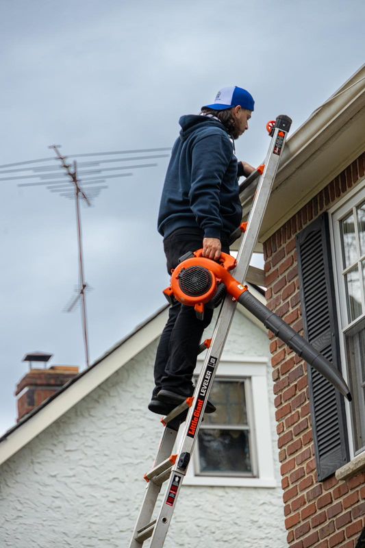 Gutter Cleaning