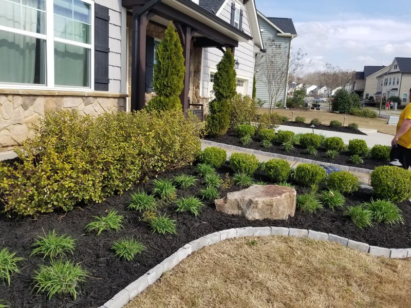 Landscaping
