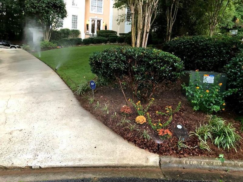 Plant & Shrub Installations