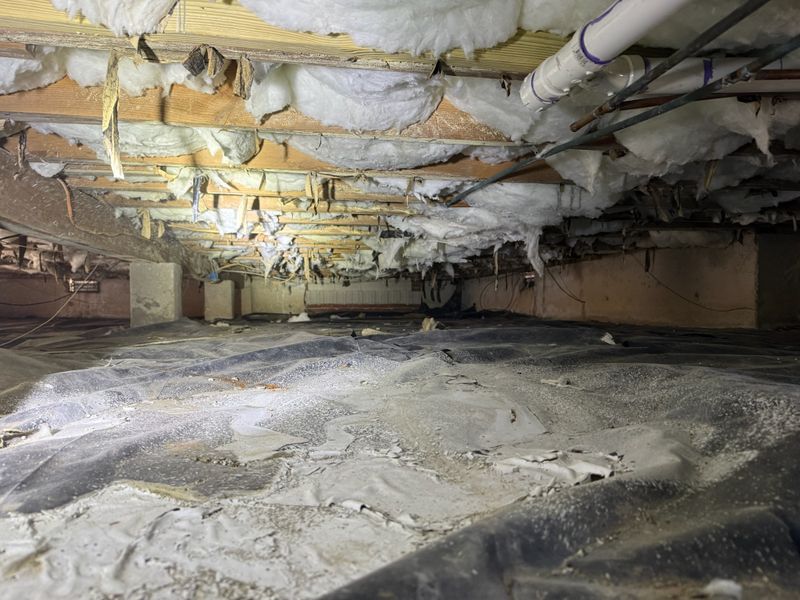 Insulation Services